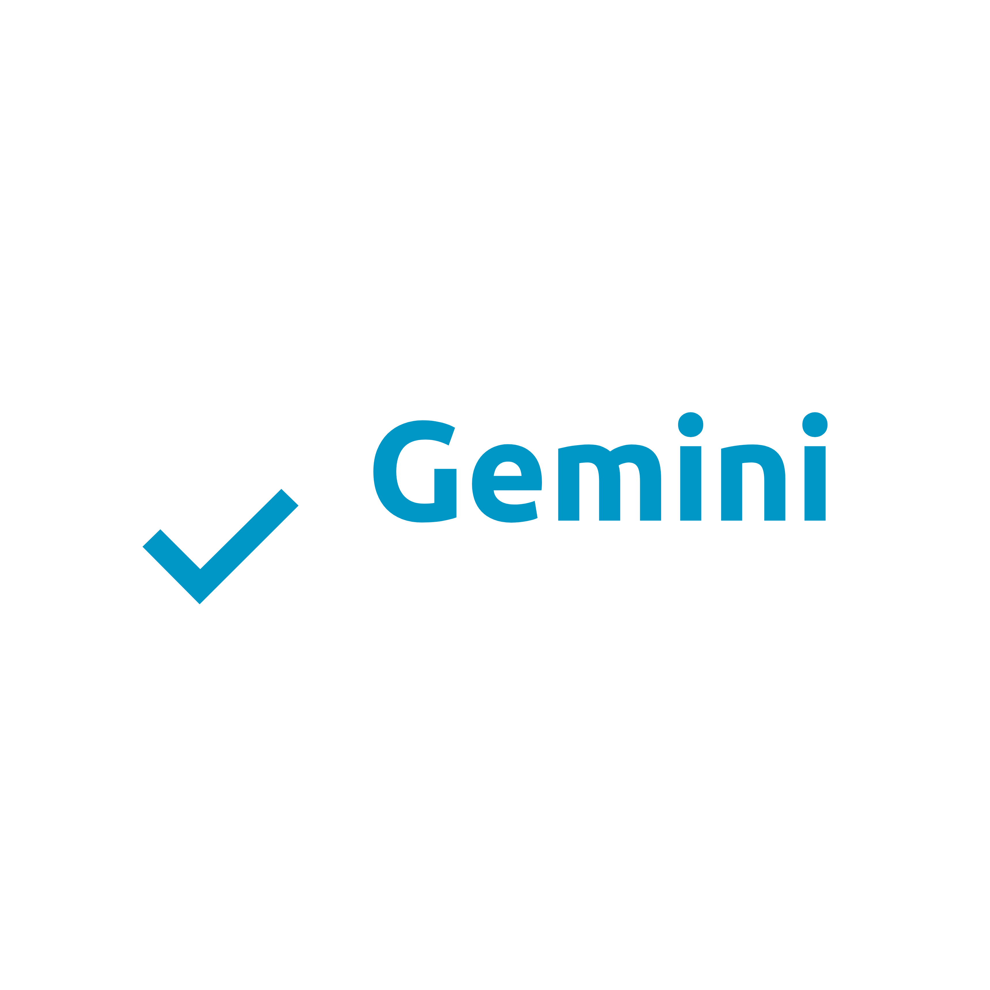 GEMINI PAY SOLUTIONS